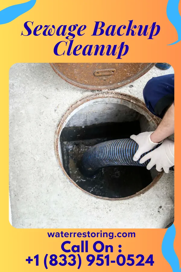 Sewage Backup Cleanup in Ormond Beach, FL