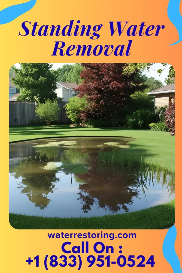 Standing Water Removal in Ormond Beach, FL